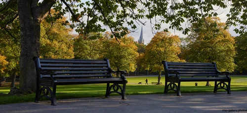 Queens park benches This landscape photograph shows black-painted benches in Queen's Park, United Kingdom, set on a paved path beneath a large tree. The time of day is morning, indicated by the soft sunlight casting long shadows. It is autumn, as seen from the foliage on the trees which displays shades of yellow and orange. The park features open green spaces and pathways winding through well-maintained grassy areas. In the background, the spire of a church rises above the tree line, serving as a notable architectural landmark within the scene. The image emphasises elements of nature with the presence of mature trees and leafy branches, highlighting the tranquil atmosphere of Queen's Park with its inviting benches and broad paths for visitors to enjoy.